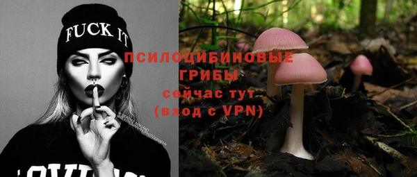 a pvp Абинск