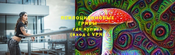 дурь Абдулино