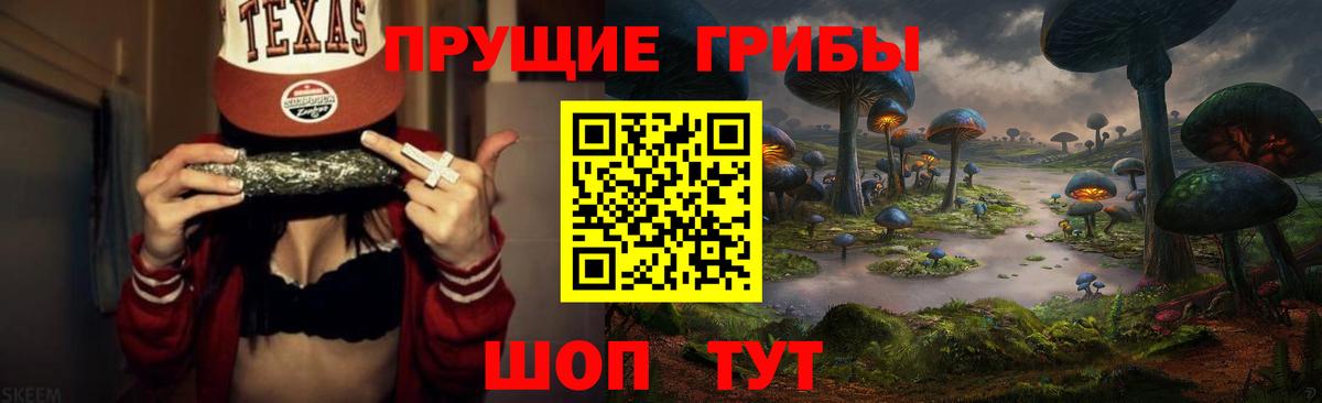 Псилоцибиновые грибы Magic Shrooms  Псилоцибиновые грибы ЛСД  где купить наркоту  Вологда  Вход с VPN 