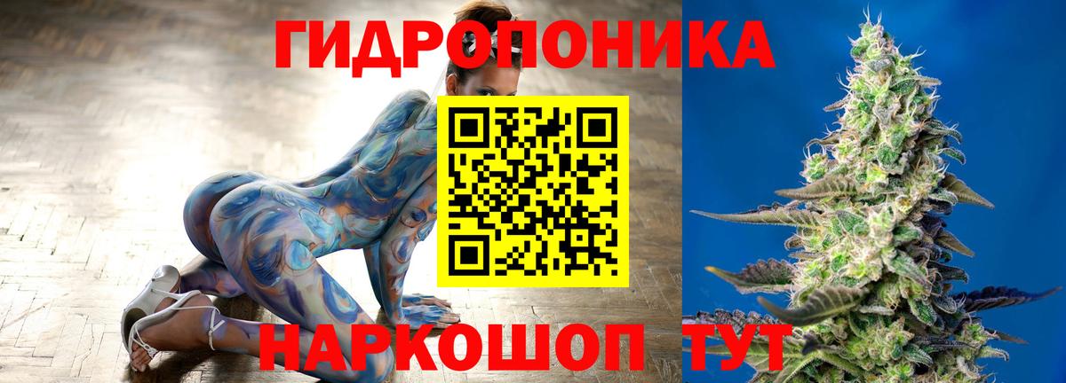 Вологда  Бошки Шишки марихуана  Шишки марихуана индика  Вход с VPN 